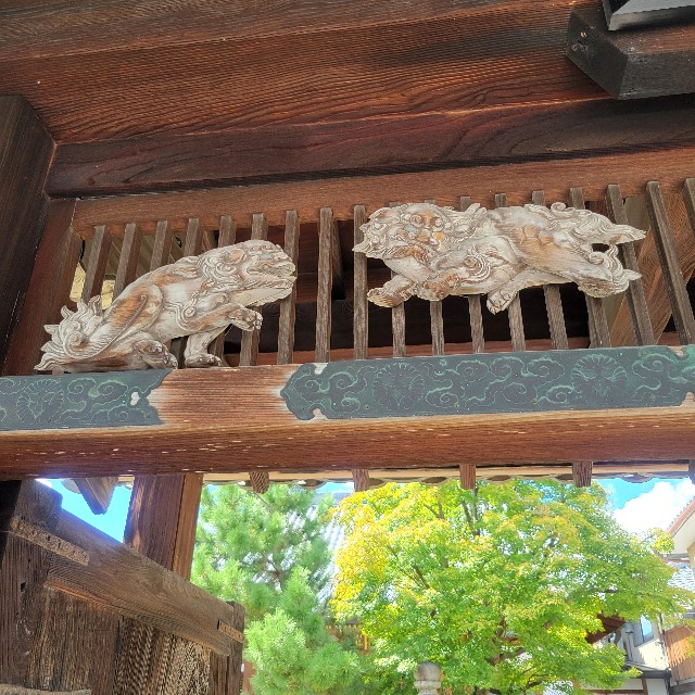 f:id:atoriatoriatori:20241002094253j:image