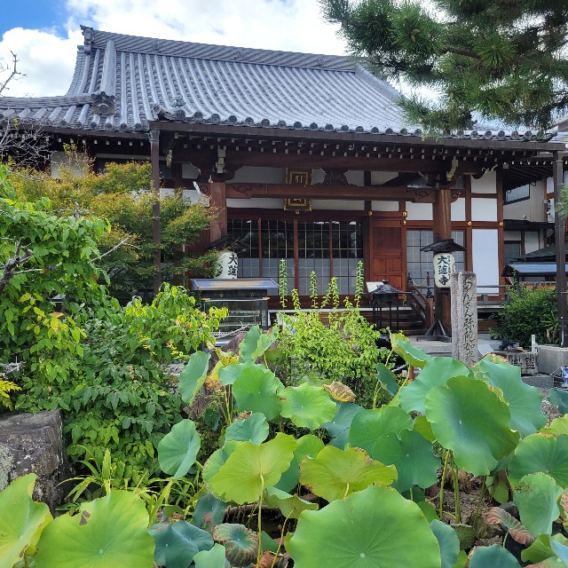 f:id:atoriatoriatori:20241002100218j:image
