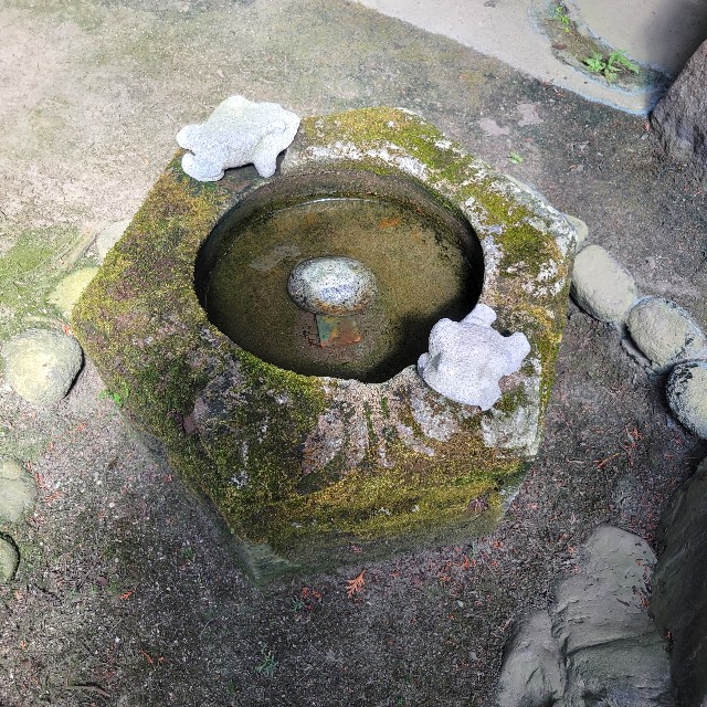 f:id:atoriatoriatori:20241003110408j:image