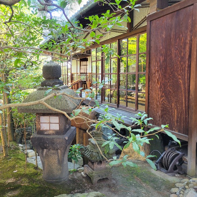 f:id:atoriatoriatori:20241003110442j:image