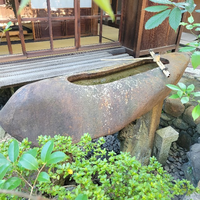 f:id:atoriatoriatori:20241003112337j:image