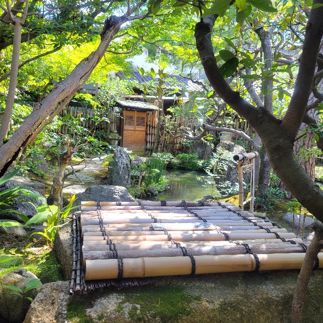 f:id:atoriatoriatori:20241003112807j:image