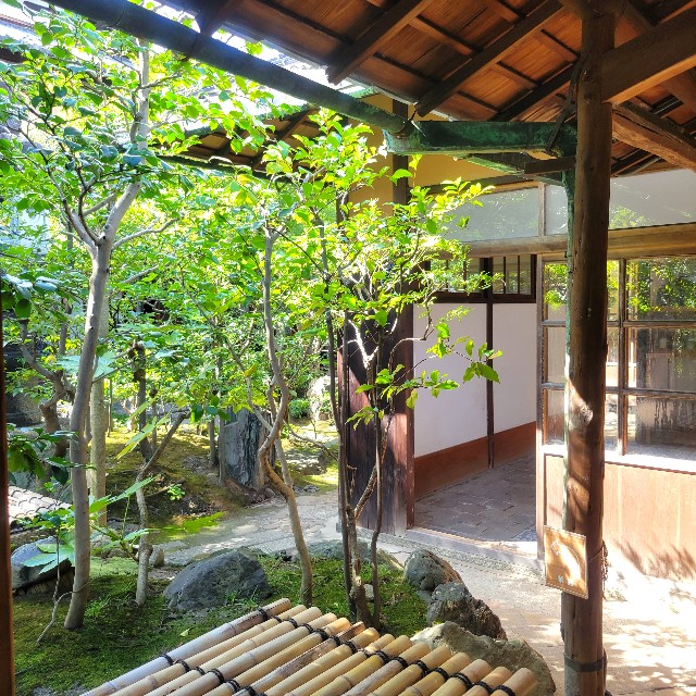 f:id:atoriatoriatori:20241003112830j:image