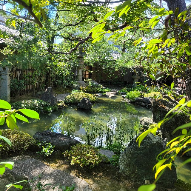 f:id:atoriatoriatori:20241003112859j:image