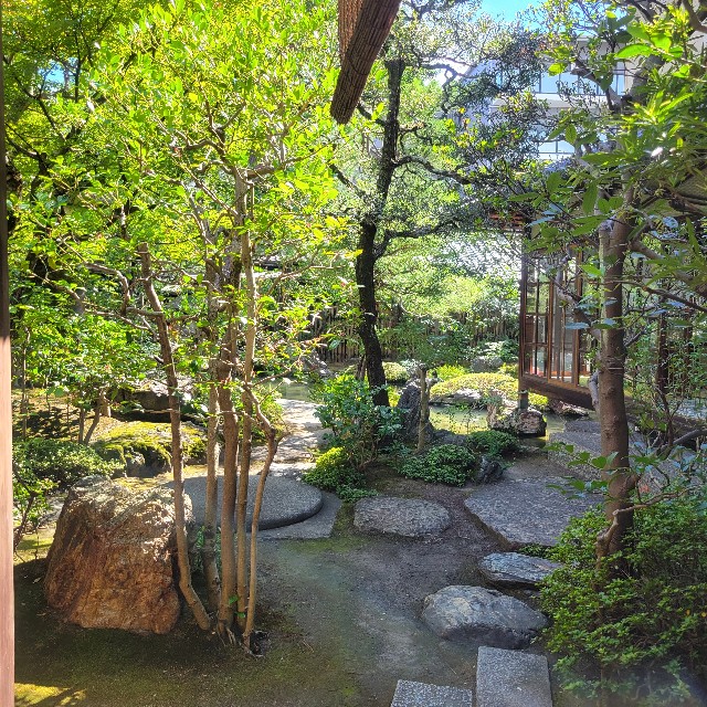 f:id:atoriatoriatori:20241003124924j:image