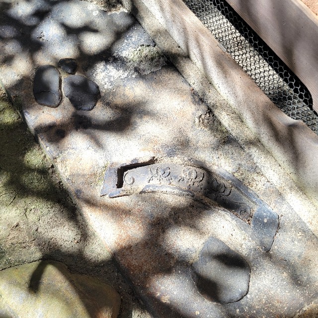 f:id:atoriatoriatori:20241003125330j:image