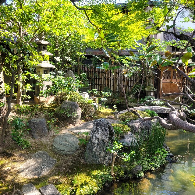 f:id:atoriatoriatori:20241003135921j:image