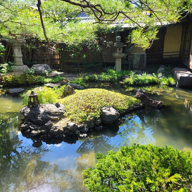 f:id:atoriatoriatori:20241003140328j:image