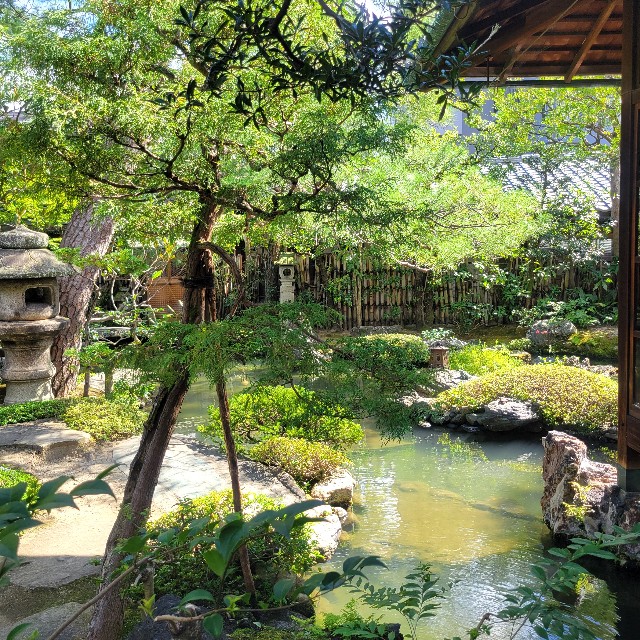 f:id:atoriatoriatori:20241003151335j:image