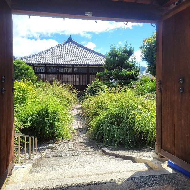 f:id:atoriatoriatori:20241006201226j:image