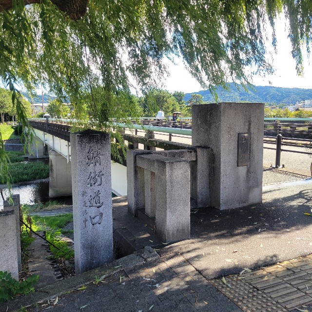 f:id:atoriatoriatori:20241007083035j:image