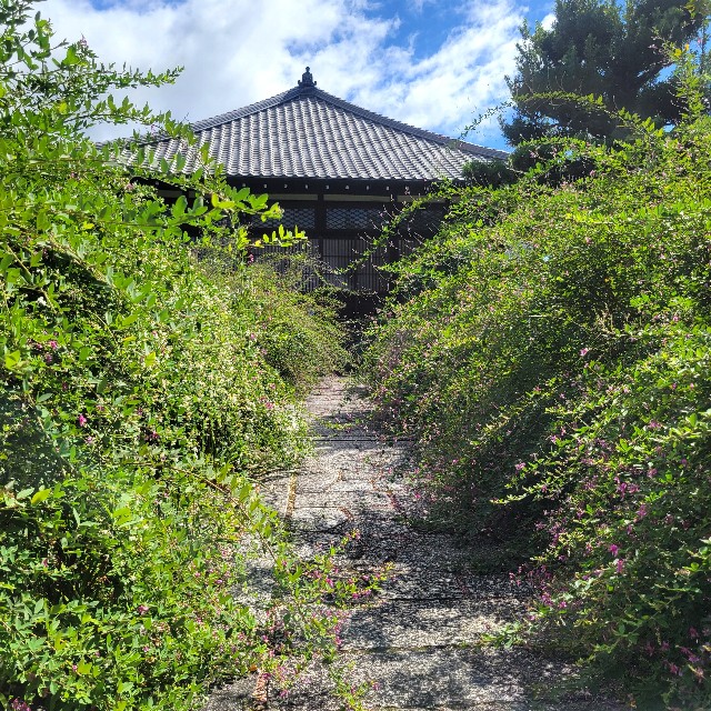 f:id:atoriatoriatori:20241007110018j:image