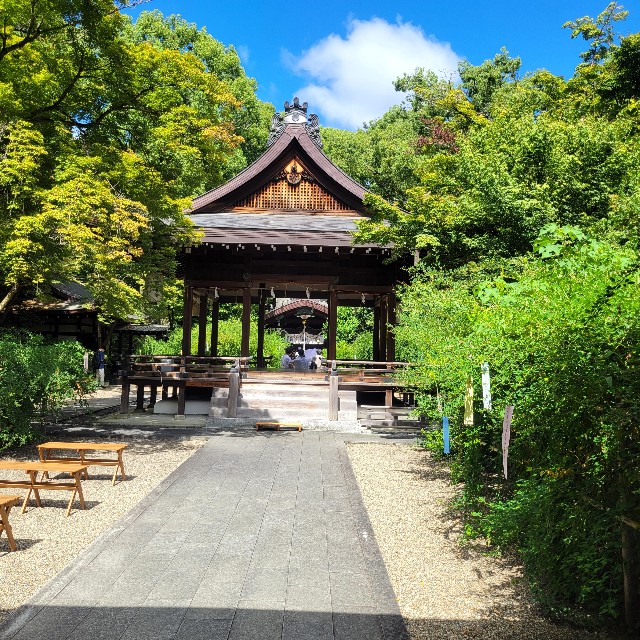 f:id:atoriatoriatori:20241008204611j:image