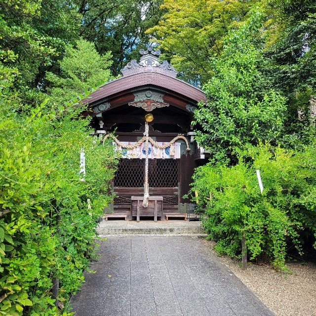 f:id:atoriatoriatori:20241008204623j:image