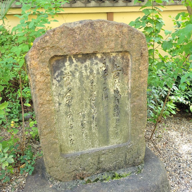 f:id:atoriatoriatori:20241009074728j:image