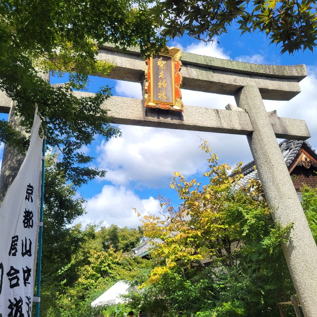 f:id:atoriatoriatori:20241009074811j:image