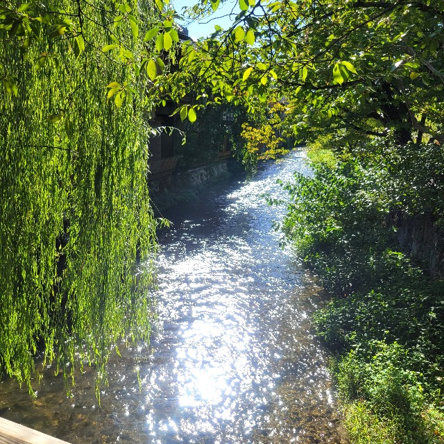 f:id:atoriatoriatori:20241009123547j:image