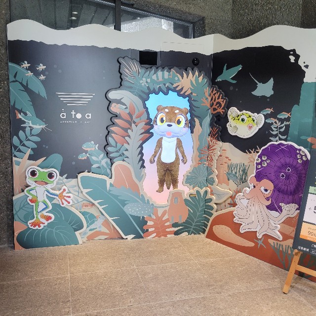 f:id:atoriatoriatori:20241014101254j:image