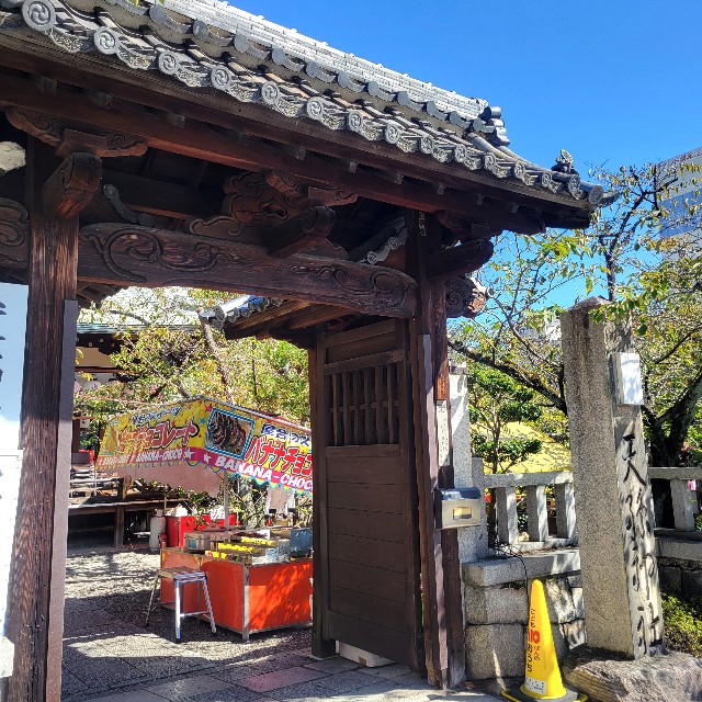 f:id:atoriatoriatori:20241018094238j:image