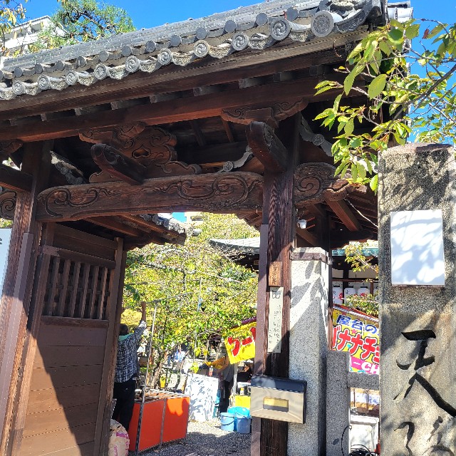 f:id:atoriatoriatori:20241018094246j:image