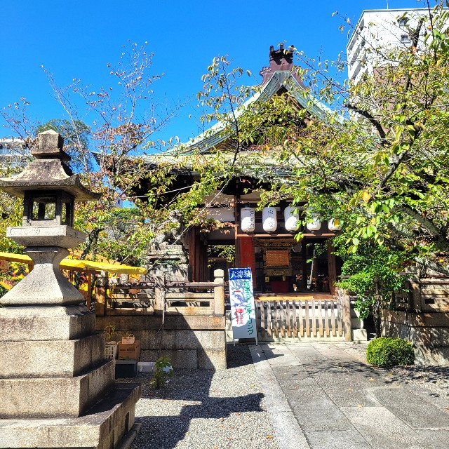 f:id:atoriatoriatori:20241018102529j:image