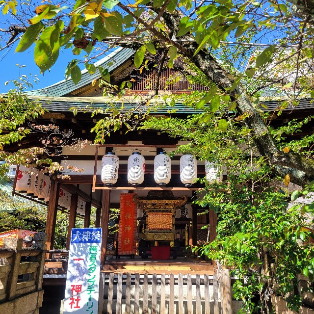 f:id:atoriatoriatori:20241018102539j:image