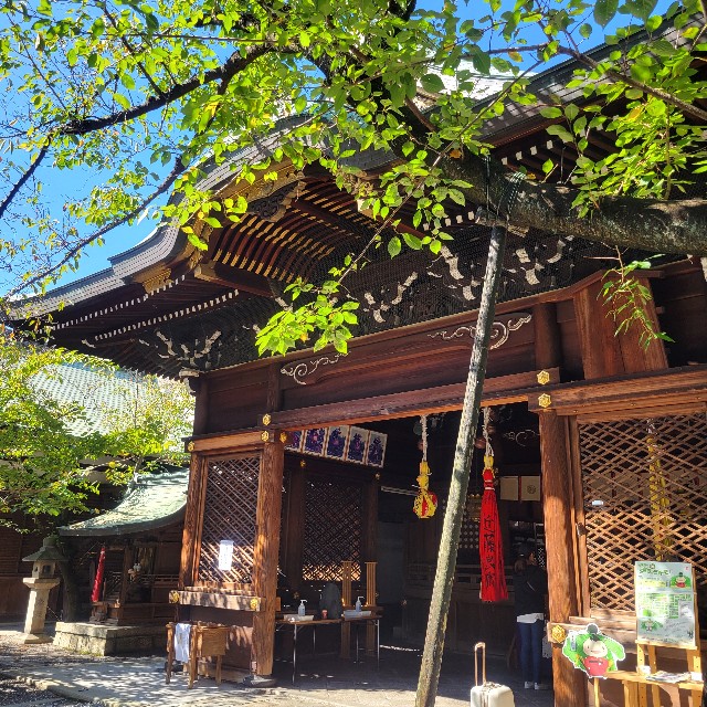 f:id:atoriatoriatori:20241018135535j:image