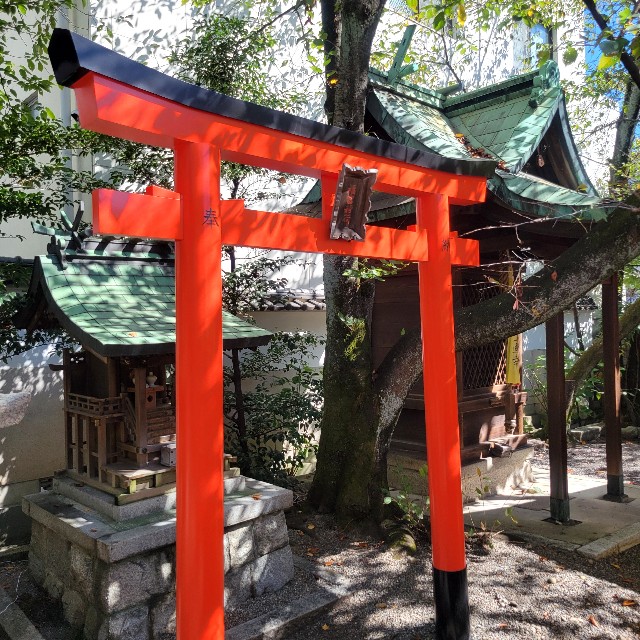 f:id:atoriatoriatori:20241018135828j:image