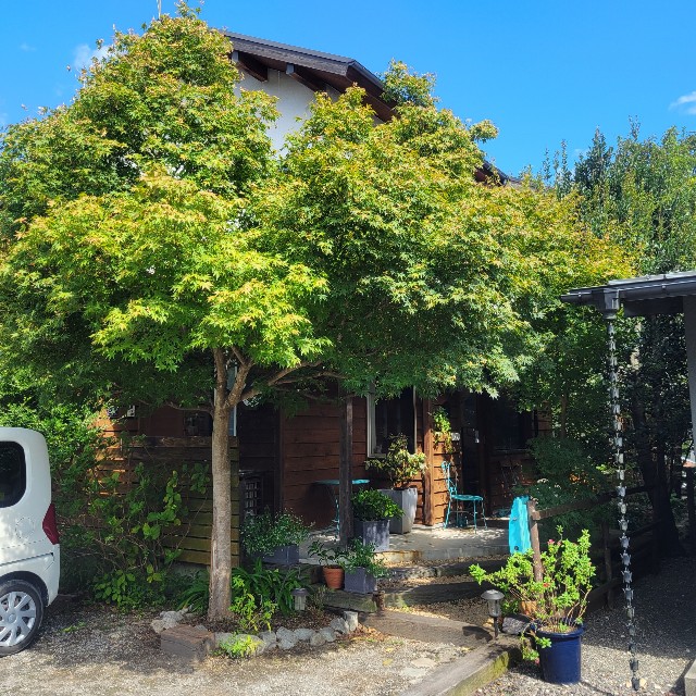 f:id:atoriatoriatori:20241018174750j:image