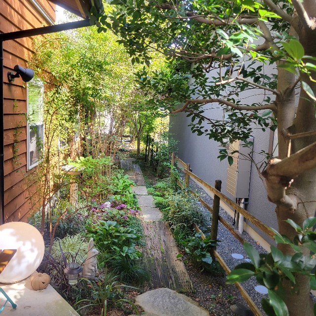 f:id:atoriatoriatori:20241018174808j:image