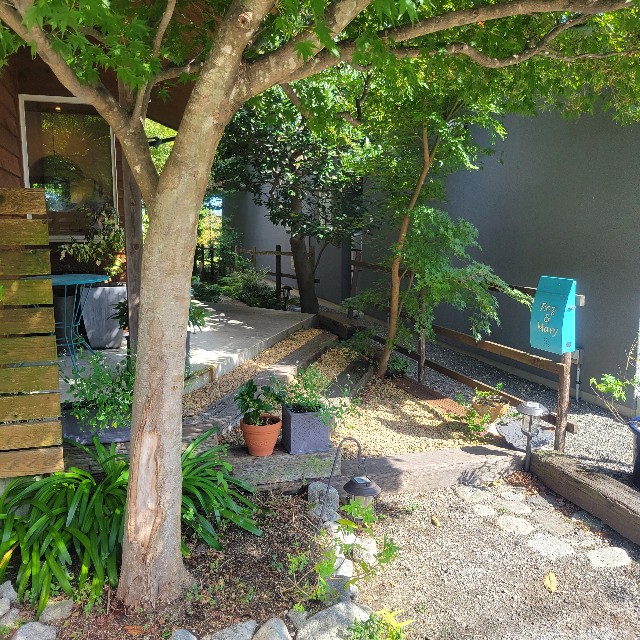 f:id:atoriatoriatori:20241018200608j:image