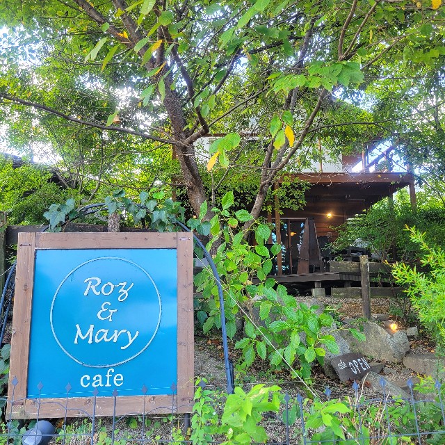 f:id:atoriatoriatori:20241018205445j:image