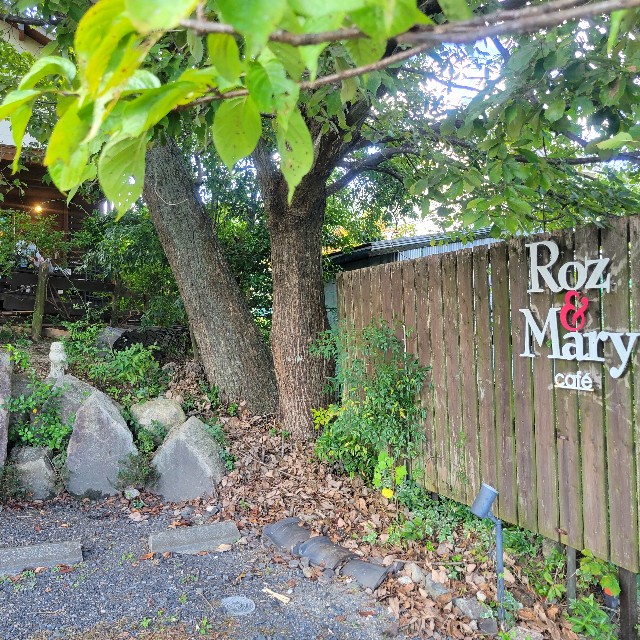 f:id:atoriatoriatori:20241018205505j:image