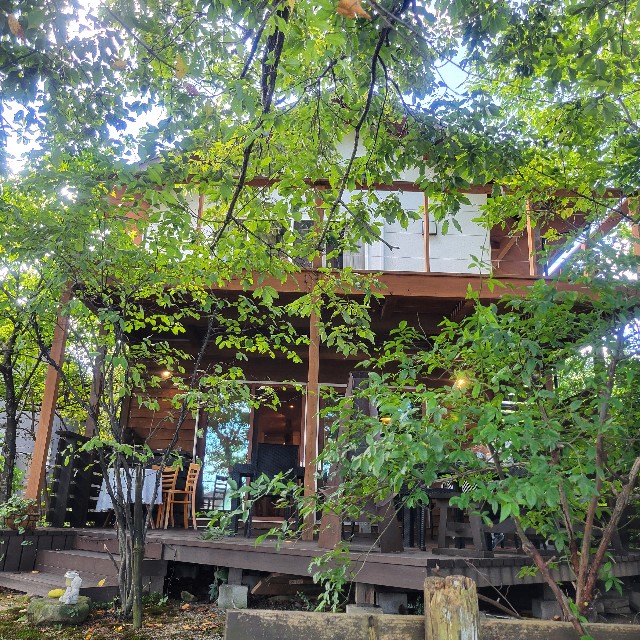 f:id:atoriatoriatori:20241018215308j:image