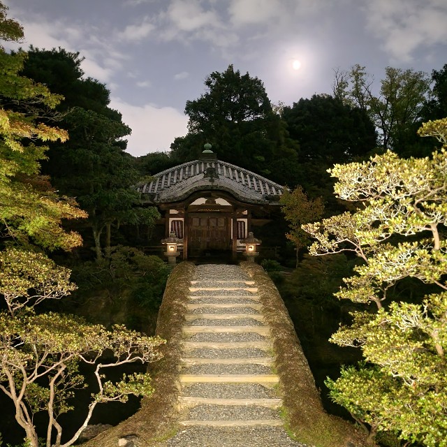 f:id:atoriatoriatori:20241021175313j:image f:id:atoriatoriatori:20241021175313j:image