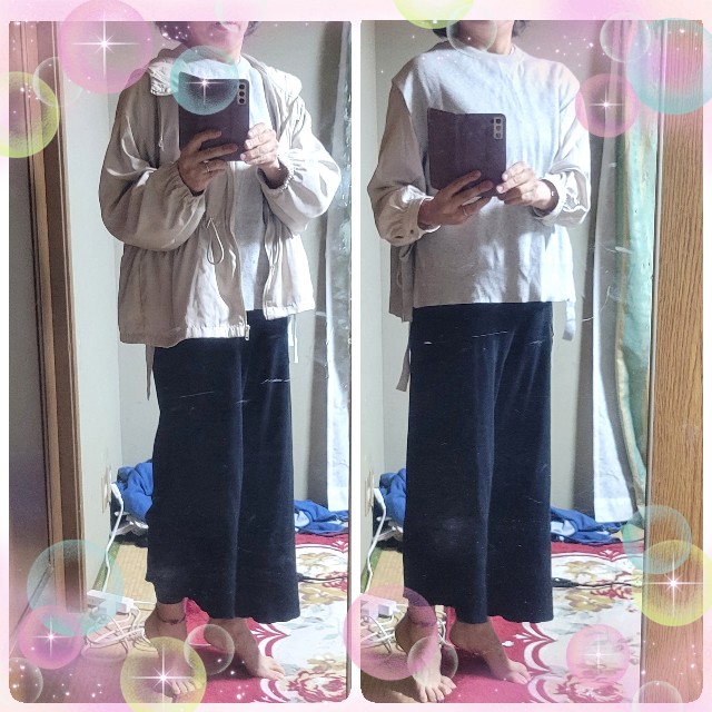 f:id:atoriatoriatori:20241103192752j:image
