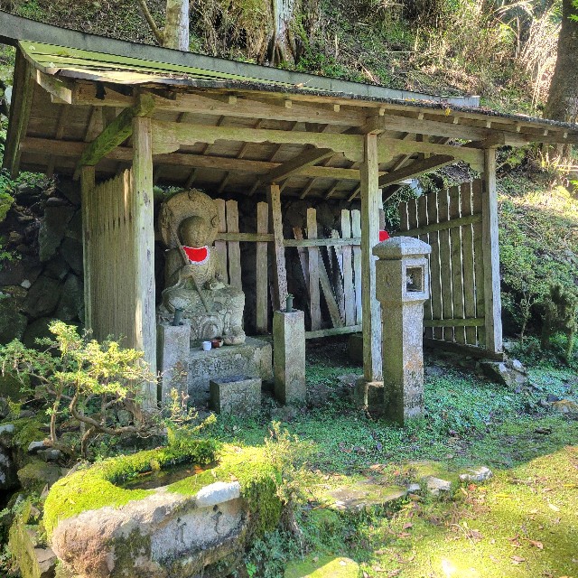 f:id:atoriatoriatori:20241104222416j:image
