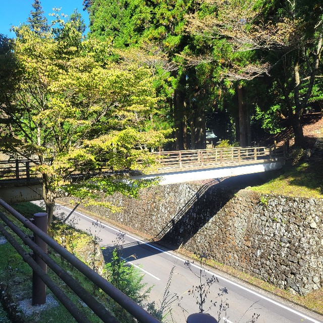 f:id:atoriatoriatori:20241105095348j:image