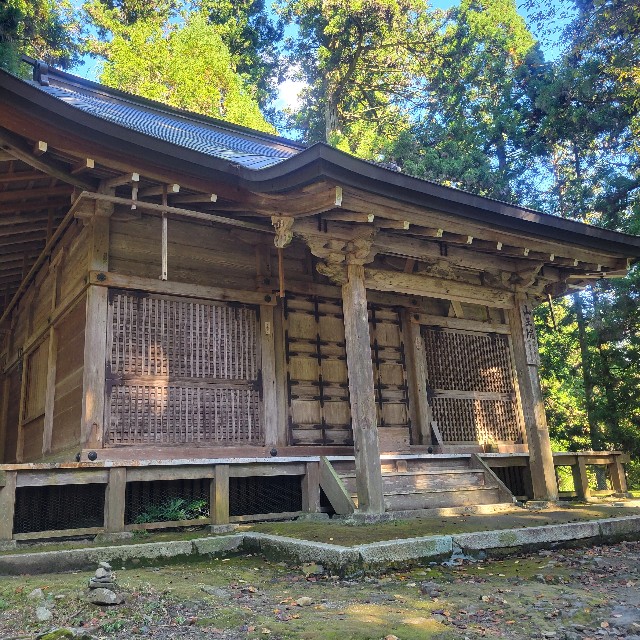 f:id:atoriatoriatori:20241105095730j:image