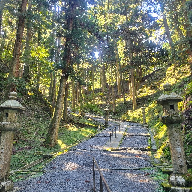 f:id:atoriatoriatori:20241105095959j:image