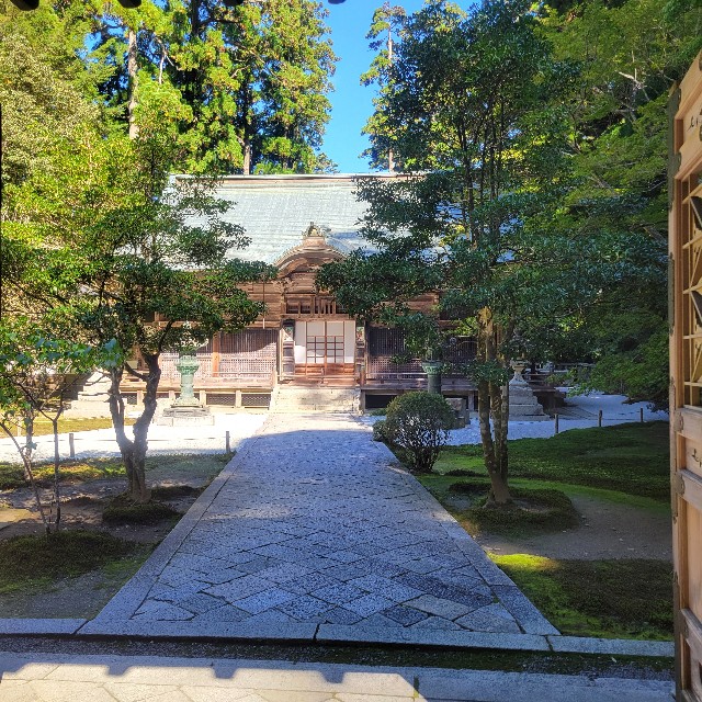 f:id:atoriatoriatori:20241106082930j:image