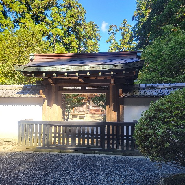 f:id:atoriatoriatori:20241106082939j:image