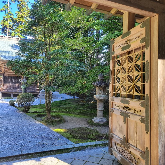 f:id:atoriatoriatori:20241106082951j:image