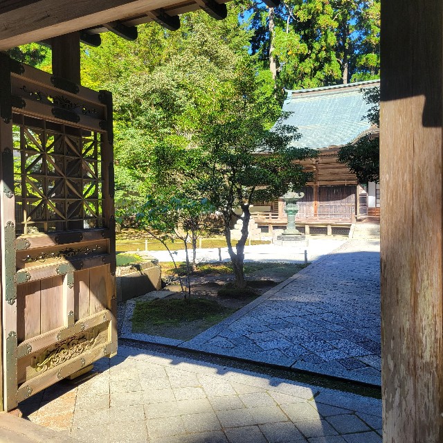 f:id:atoriatoriatori:20241106083006j:image