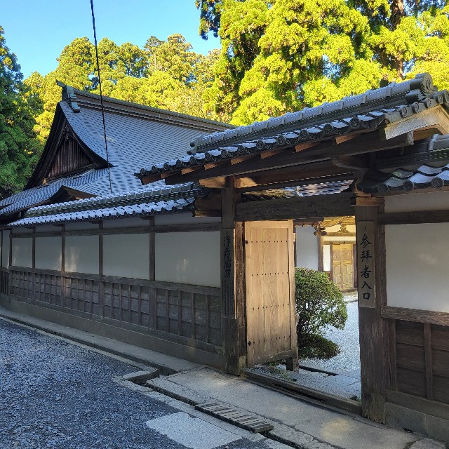 f:id:atoriatoriatori:20241106083014j:image
