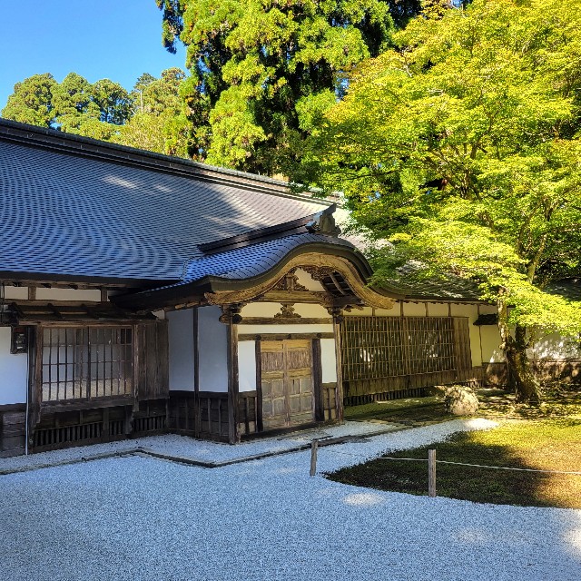 f:id:atoriatoriatori:20241106083323j:image