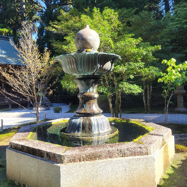 f:id:atoriatoriatori:20241106083415j:image