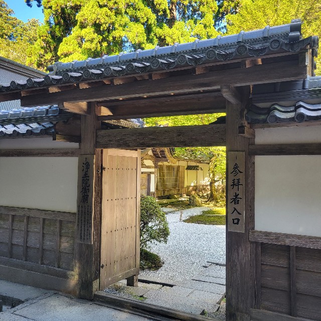 f:id:atoriatoriatori:20241106092056j:image
