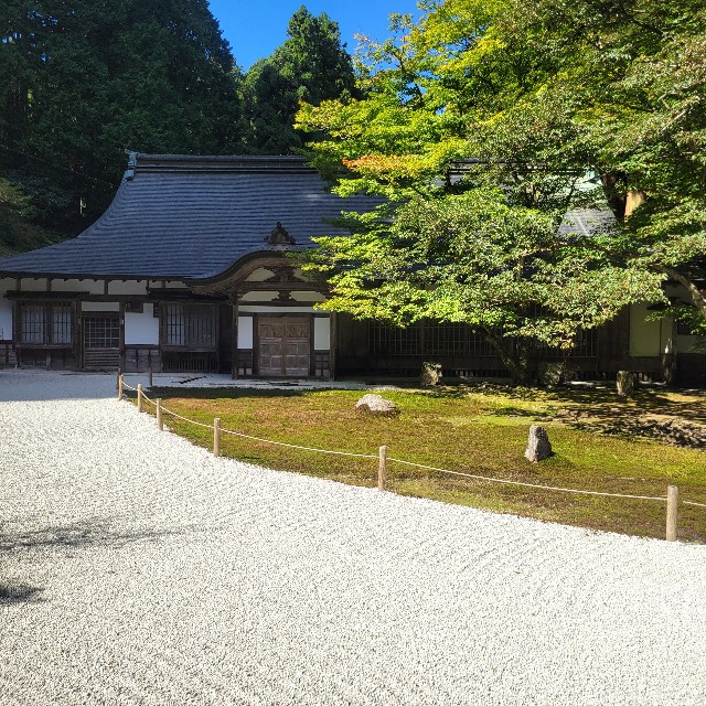 f:id:atoriatoriatori:20241106092140j:image