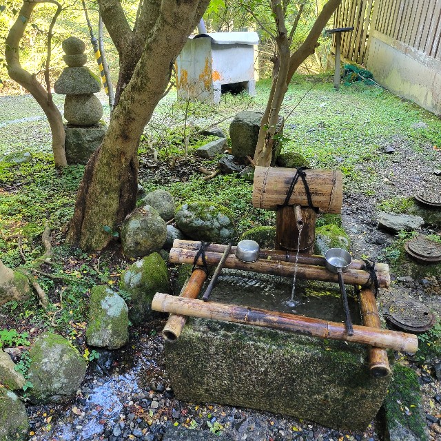 f:id:atoriatoriatori:20241106134655j:image